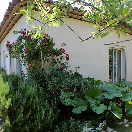 Villa Le 275 La Colle-sur-Loup Exterior foto